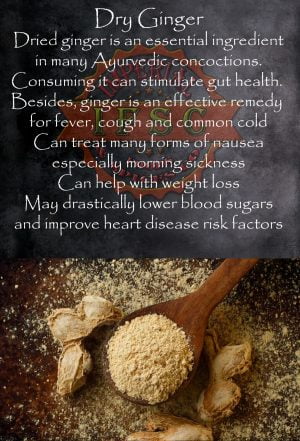 Dry Ginger